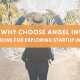 Why Choose Angel Investing: 7 Reasons for Exploring the Exciting Path of Startup Investment