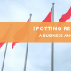 Spotting Red Flags: A Business Angel's Guide